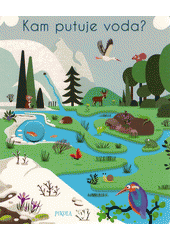 Obálka titulu Kam putuje voda?