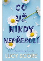 Obálka titulu Co už nikdy nepřebolí