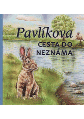 Obálka titulu Pavlíkova cesta do neznáma