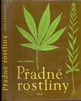 Přadné rostliny