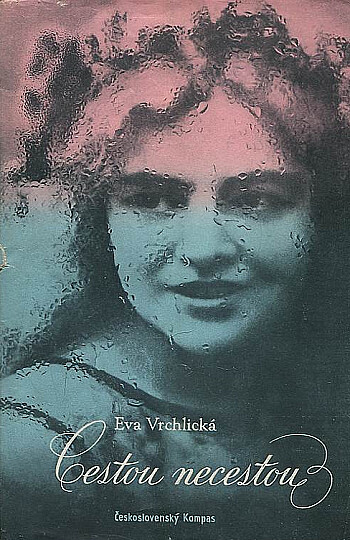 Cestou necestou: kniha vzpomínek