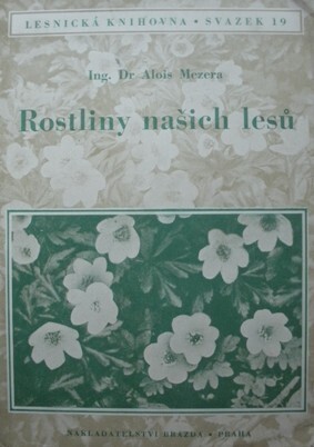 Rostliny našich lesů