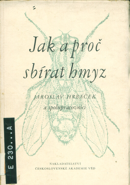 Jak a proč sbírat hmyz