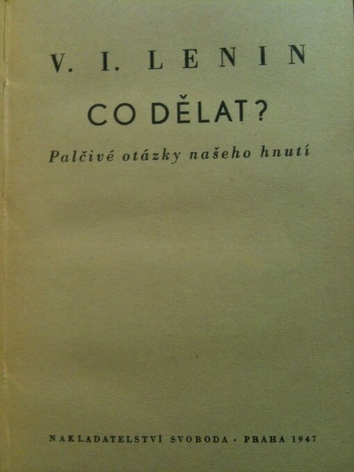 Co dělat? :Palčivé otázky našeho hnutí