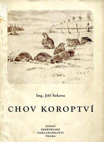 Chov koroptví