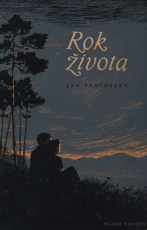 Rok života : povídky o mladých brigádnících z pohraničí