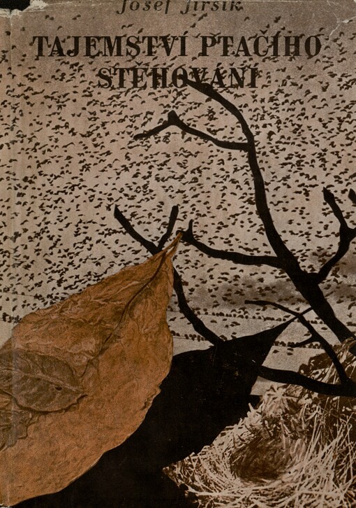 Tajemství ptačího stěhování