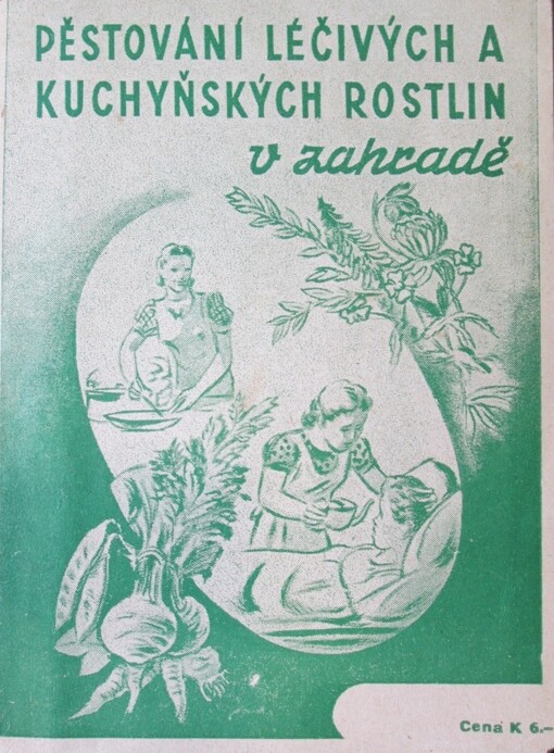 Pěstování léčivých a kuchyňských rostlin v zahradě