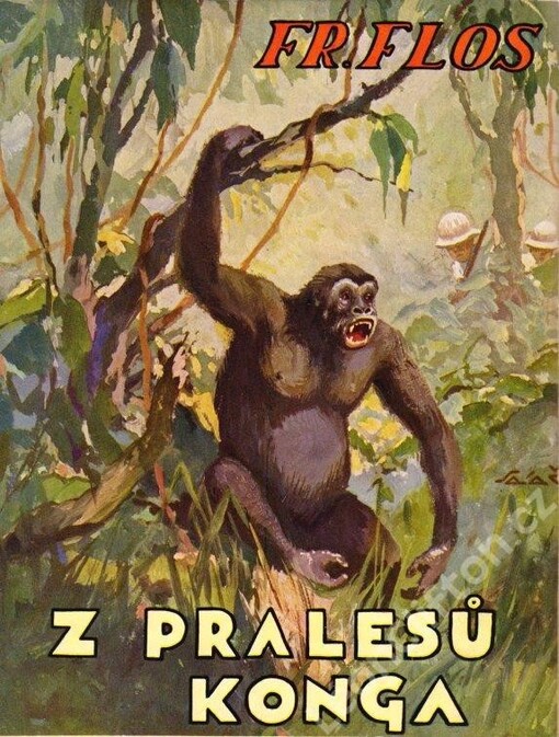 Z pralesů Konga :dobrodružný román