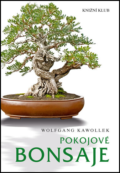 Pokojové bonsaje - Wolfgang Kawollek