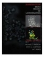 Biology of Microorganisms