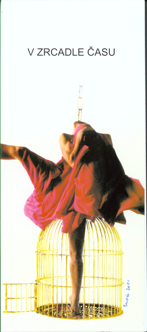 V zrcadle času