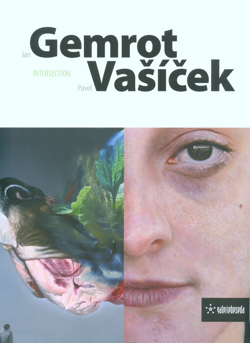 Jan Gemrot, Pavel Vašíček :intersection