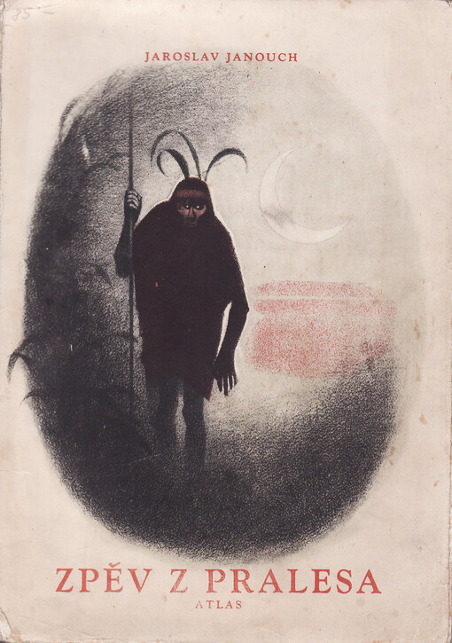 Zpěv z pralesa: román