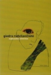 Suplanuotos akimirkos : esė rinktinė