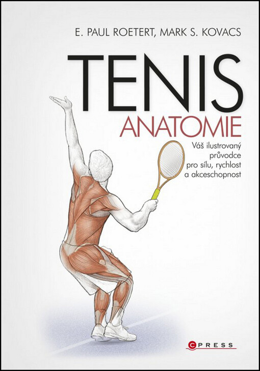 Tenis - anatomie