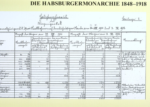 Die Habsburgermonarchie und der Erste Weltkrieg.2. Teilband,Weltkriegsstatistik Österreich-Ungarn 1914-1918, Bevölkerungsbewegung, Kriegstote, Kriegswirtschaft