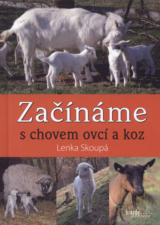 Začínáme s chovem ovcí a koz