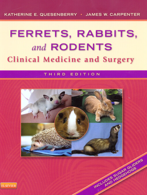 Ferrets, rabbits, and rodents :clinical medicine and surgery