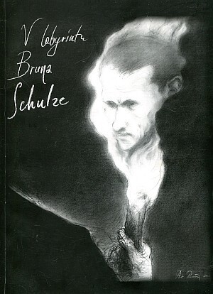 V labyrintu Bruna Schulze :výstava pod záštitou Jerzyho Ficowského : [katalog výstavy