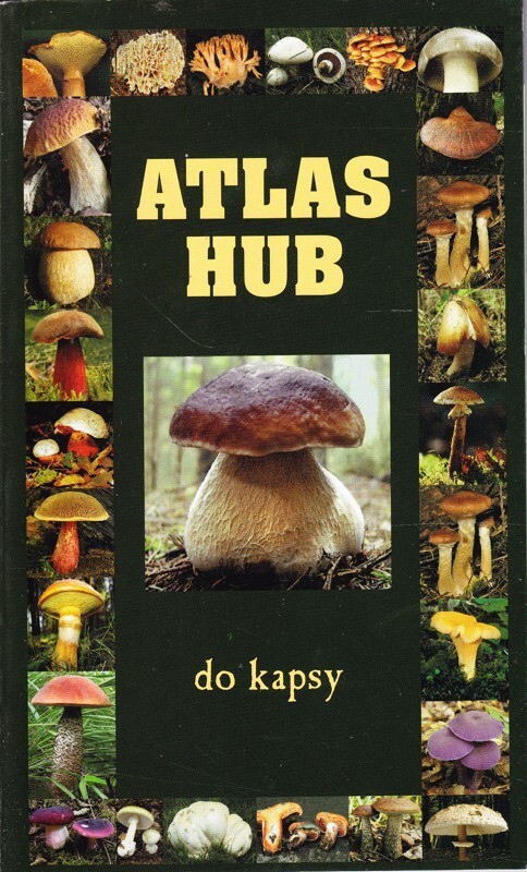 Atlas hub