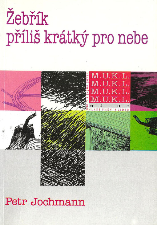 Žebřík příliš krátký pro nebe