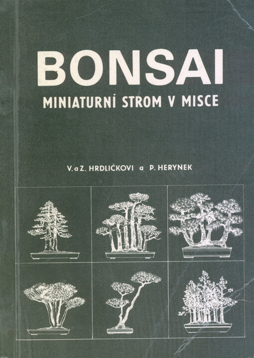 Bonsai :miniaturní strom v misce