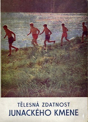 Tělesná zdatnost junáckého kmene