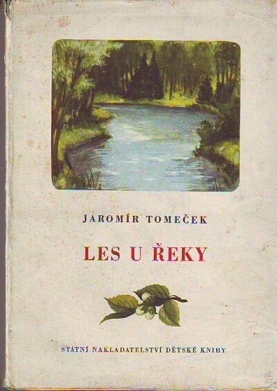 Les u řeky