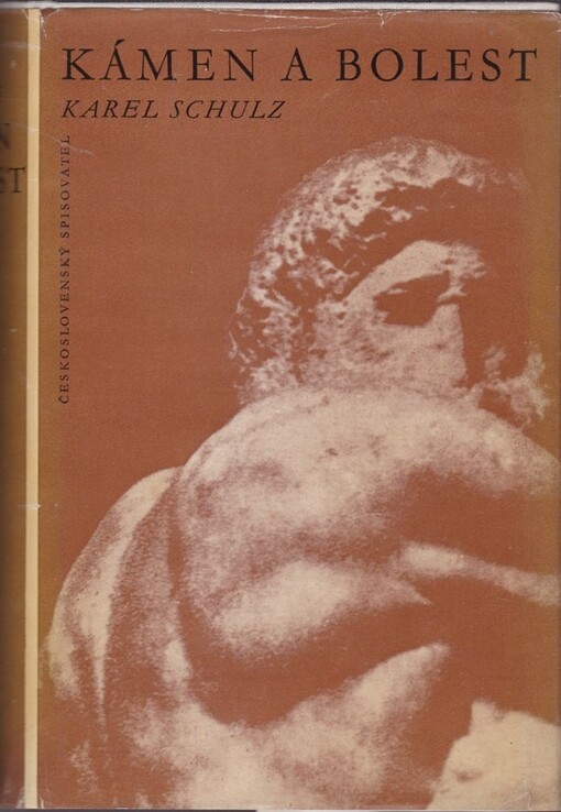 Kámen a bolest :Michelangelo Buonarroti