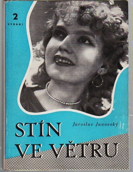 Stín ve větru :Román