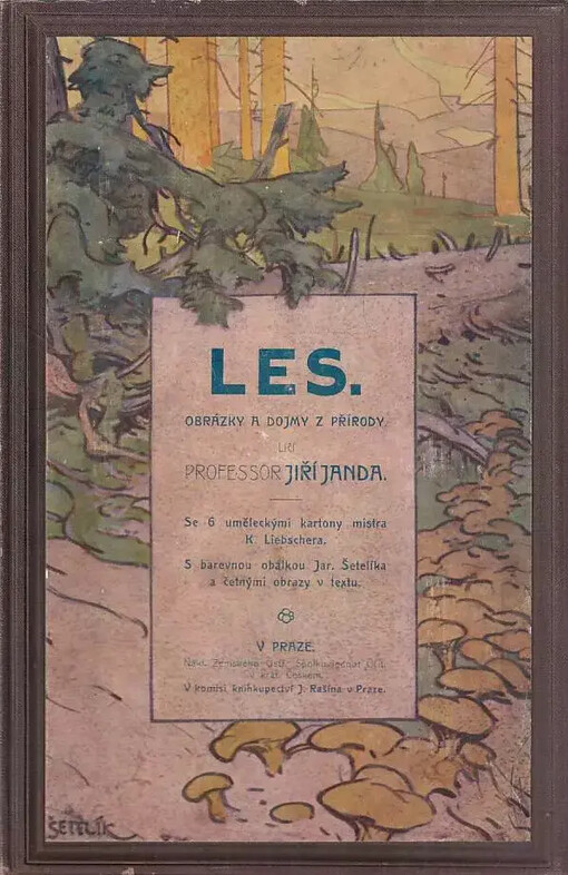 Les :obrázky a dojmy z přírody