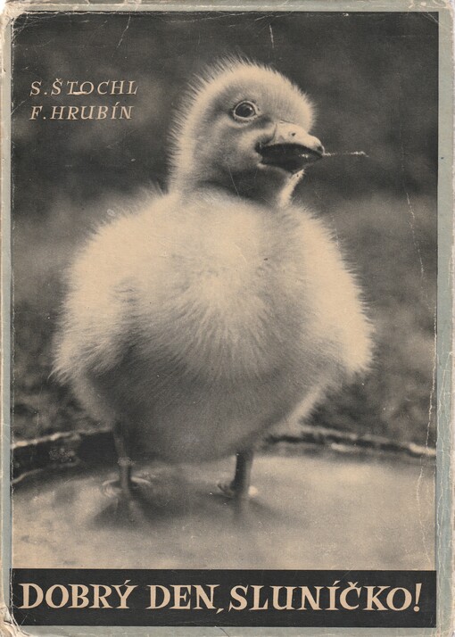 Dobrý den, sluníčko! :zvířátka ve fotografii Slávy Štochla