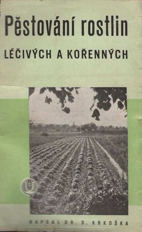Pěstování rostlin léčivých a kořenných