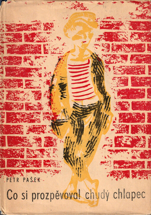 Co si prozpěvoval chudý chlapec :verše pro děti