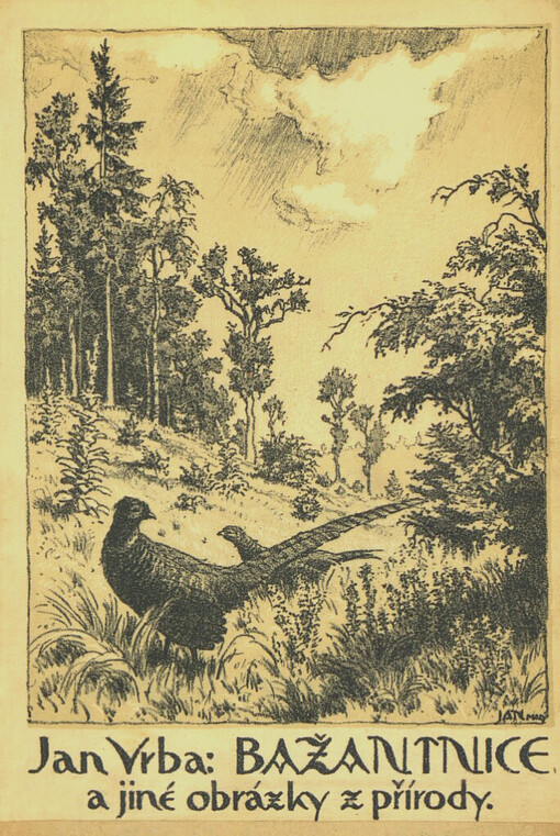 Bažantnice a jiné obrázky z přírody