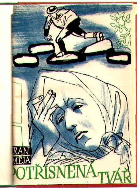 Potřísněná tvář :vesnický román