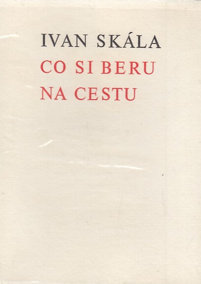 Co si beru na cestu