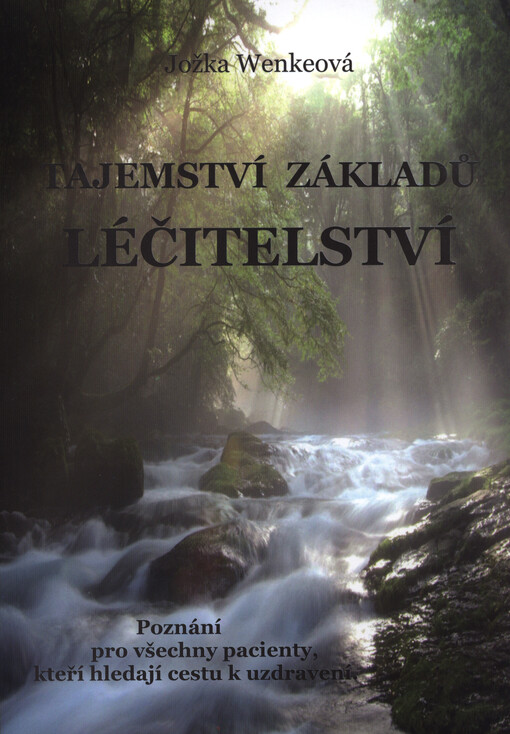 Tajemství základů léčitelství poznání pro všechny pacienty, kteří hledají cestu uzdravení   