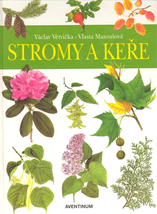 Stromy a keře