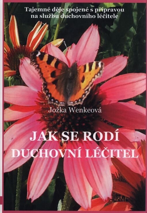 Jak se rodí duchovní léčitel : tajemné děje spojené s přípravou na službu duchovního léčitele   
