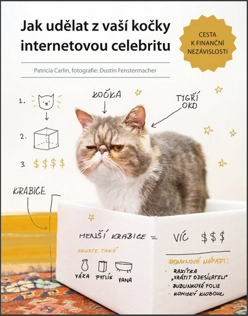 Jak udělat z vaší kočky internetovou celebritu