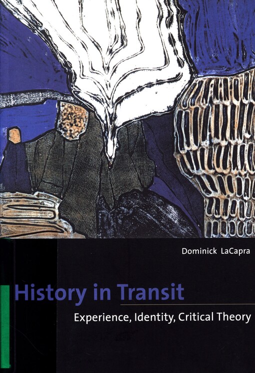 History in transit :experience, identity, critical theory