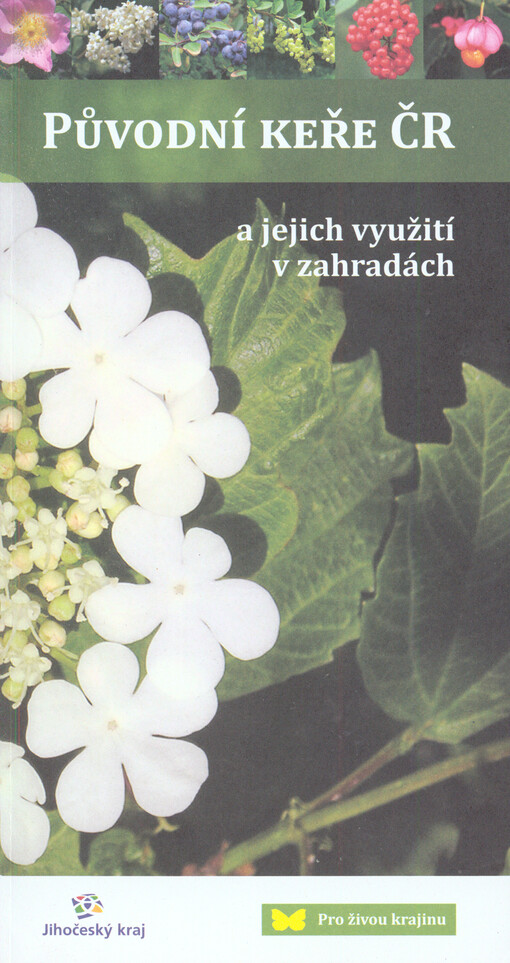 Původní keře ČR a jejich využití v zahradách