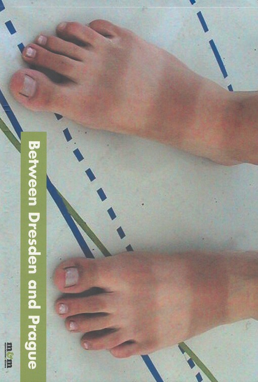 Between Dresden and Prague