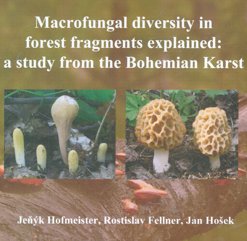 Macrofungal diversity in forest fragments explained: a study from the Bohemian Karst