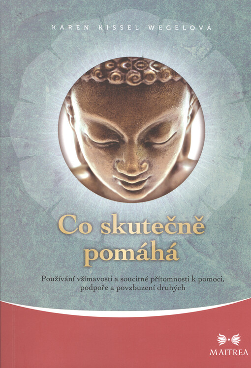 Co skutečně pomáhá