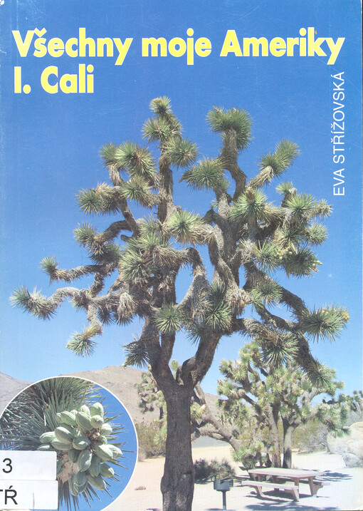 Všechny moje Ameriky. I., Cali