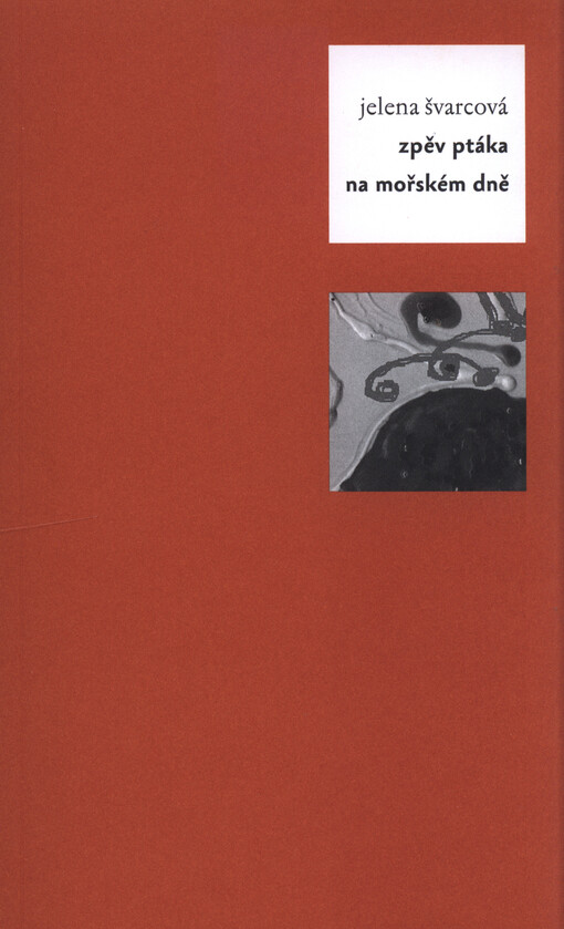 Viditelná stránka života. Zpěv ptáka na mořském dně