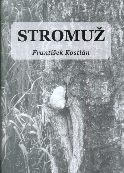 Stromuž